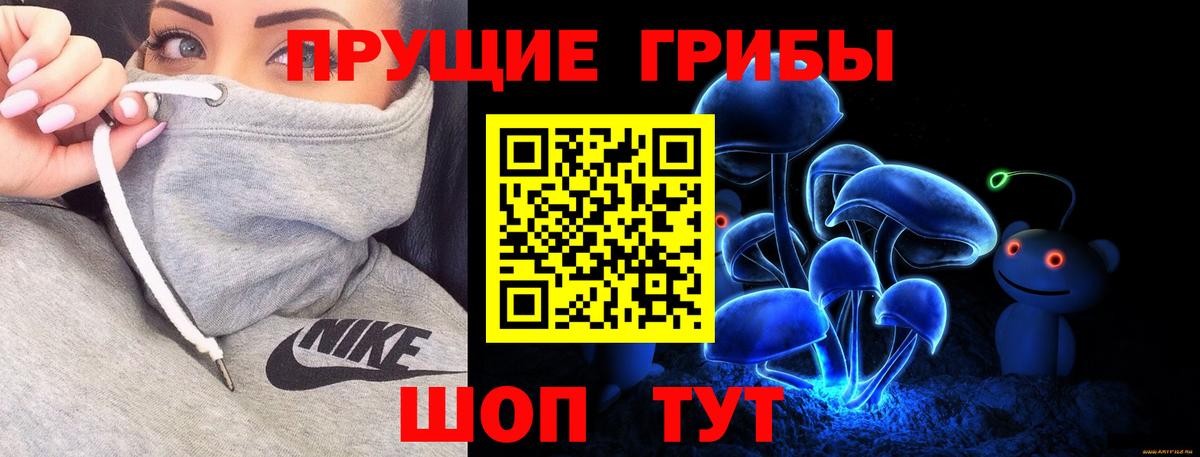 Галлюциногенные грибы GOLDEN TEACHER  Псилоцибиновые грибы MAGIC MUSHROOMS  Вход с VPN  Черкесск 